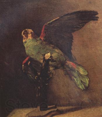 Vincent Van Gogh The Green Parrot (nn04) Germany oil painting art